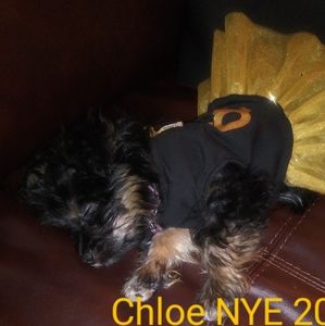 Meet your Posher, Stephanie